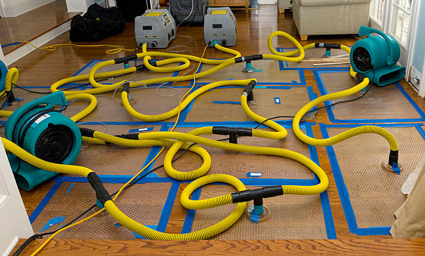 Professional Basement Flood Cleanup technician working in Dunbridge, OH
